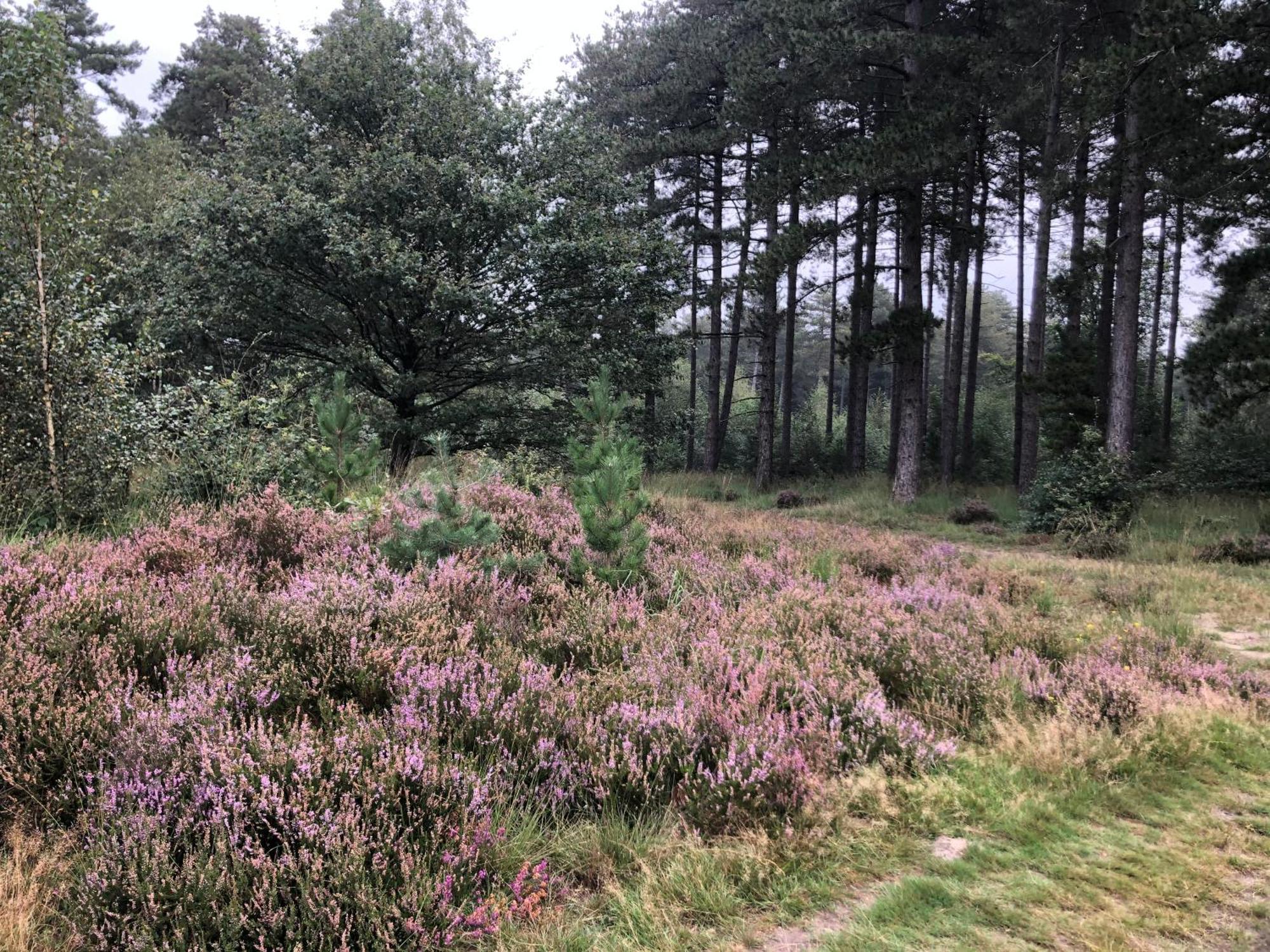 Het Zenhuisje Lanaken Buitenkant foto