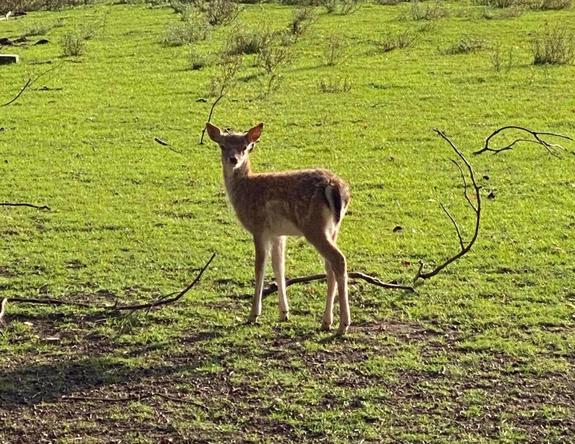Het Zenhuisje Lanaken Buitenkant foto