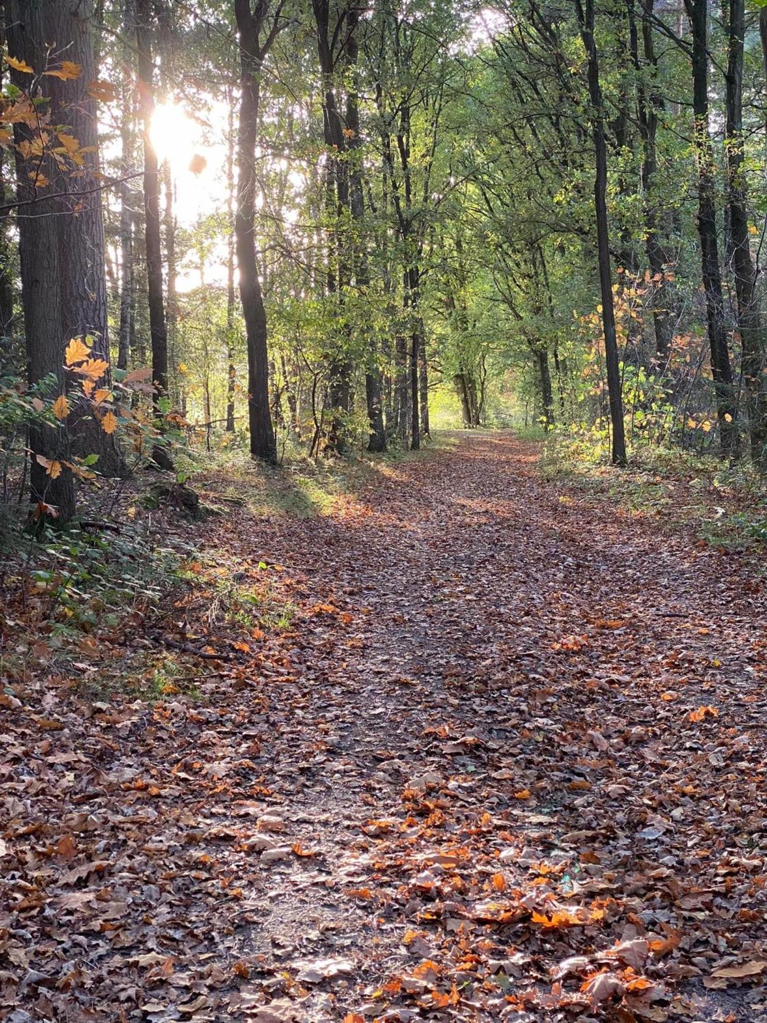 Het Zenhuisje Lanaken Buitenkant foto